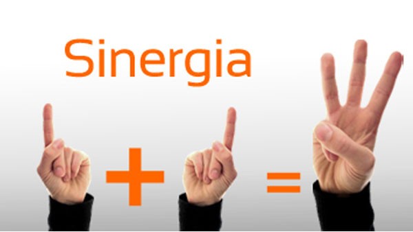 Liderazgo y sinergia